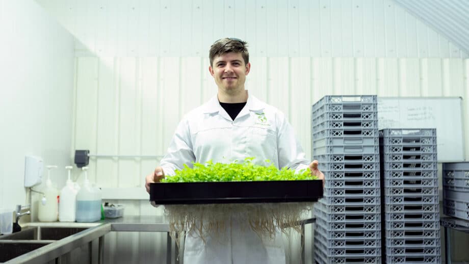 agriculture-technologie-agriculture-laboratoire-expérimentation