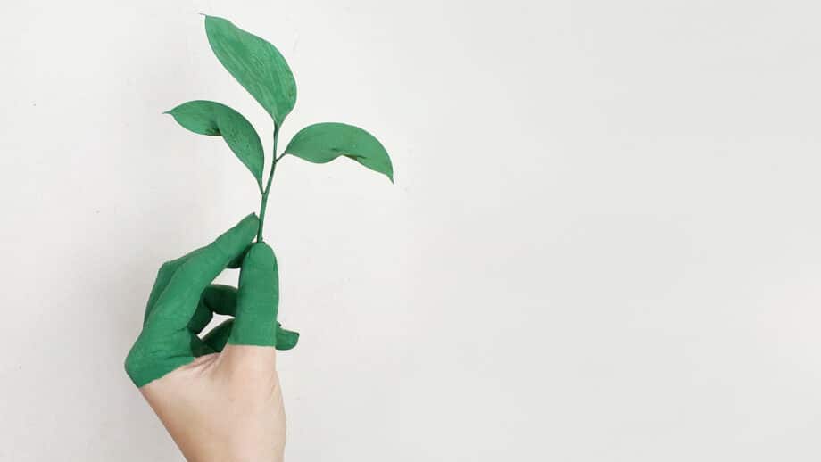 Une main avec de la peinture verte sur les doigts tient une petite plante verte avec plusieurs feuilles sur un fond clair et léger.