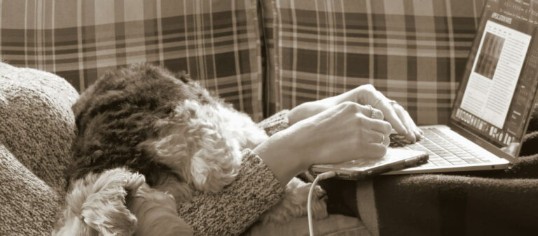 vérifiez ce que vous pouvez réellement faire en ligne